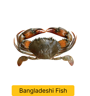 bangla
