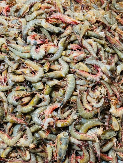 Tiger Shrimp (টাইগার চিংড়ি)