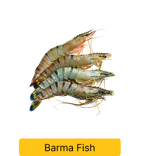 varma