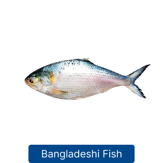 Bangladeshi Fish