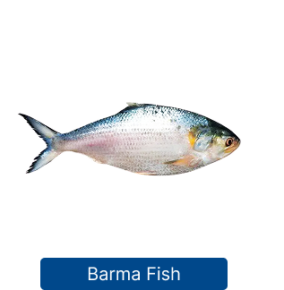 Barma Fish