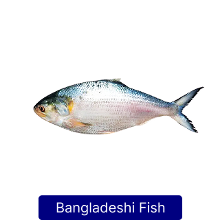 bangladesh